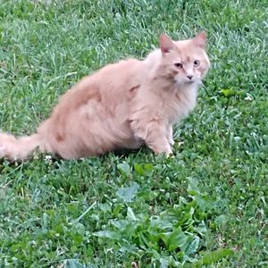 Meet your Posher, Ann